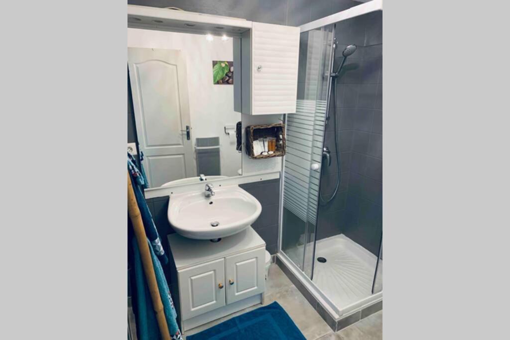 Apartamento 2P Au Coeur Des Montagnes Avec Piscine Chauffee Puget-Théniers Exterior foto