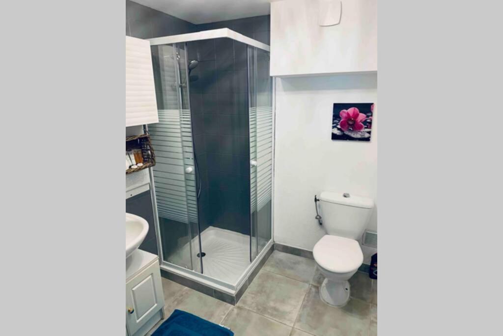 Apartamento 2P Au Coeur Des Montagnes Avec Piscine Chauffee Puget-Théniers Exterior foto