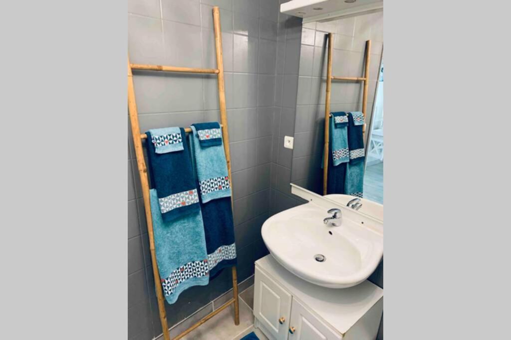 Apartamento 2P Au Coeur Des Montagnes Avec Piscine Chauffee Puget-Théniers Exterior foto